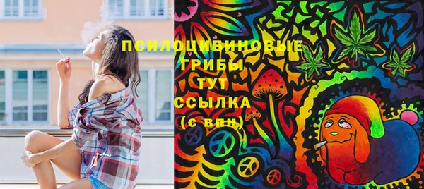 не бодяженный Алзамай