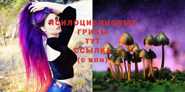 ешки Алексин